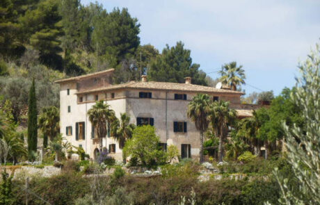 Vista de la fachada exterior de una vivienda rodeada de vegetación