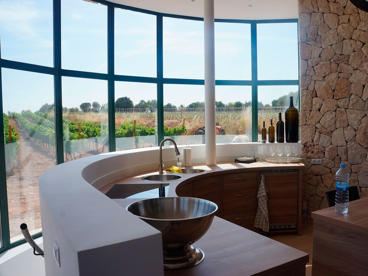 Interior de un minibar completo, se pude ver el fregadero y la barra, vistas a un viñedo